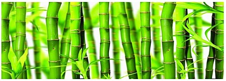 Панель Зеленый бамбук 2030*695