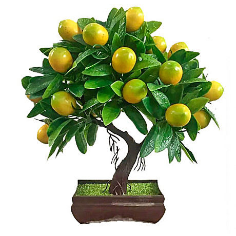Декоративное дерево Лимон 